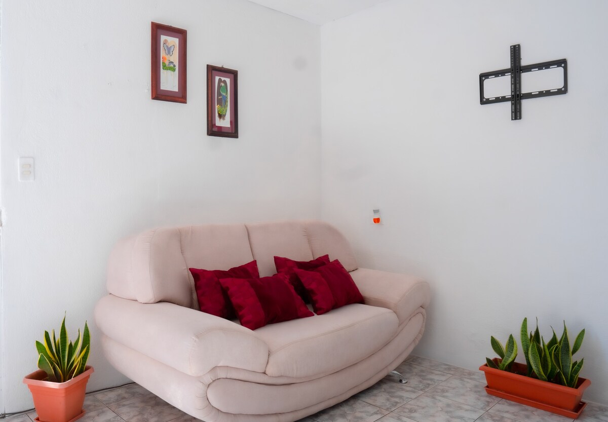 公寓位于阿拉胡埃拉（ Alajuela ） ，距离机场仅5分钟路程。