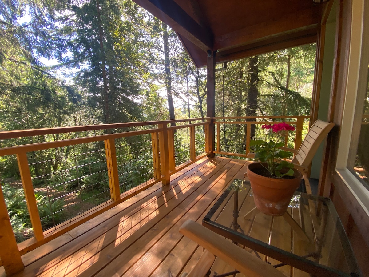 New Cabin! Private & Cozy, Overlooking the Woods