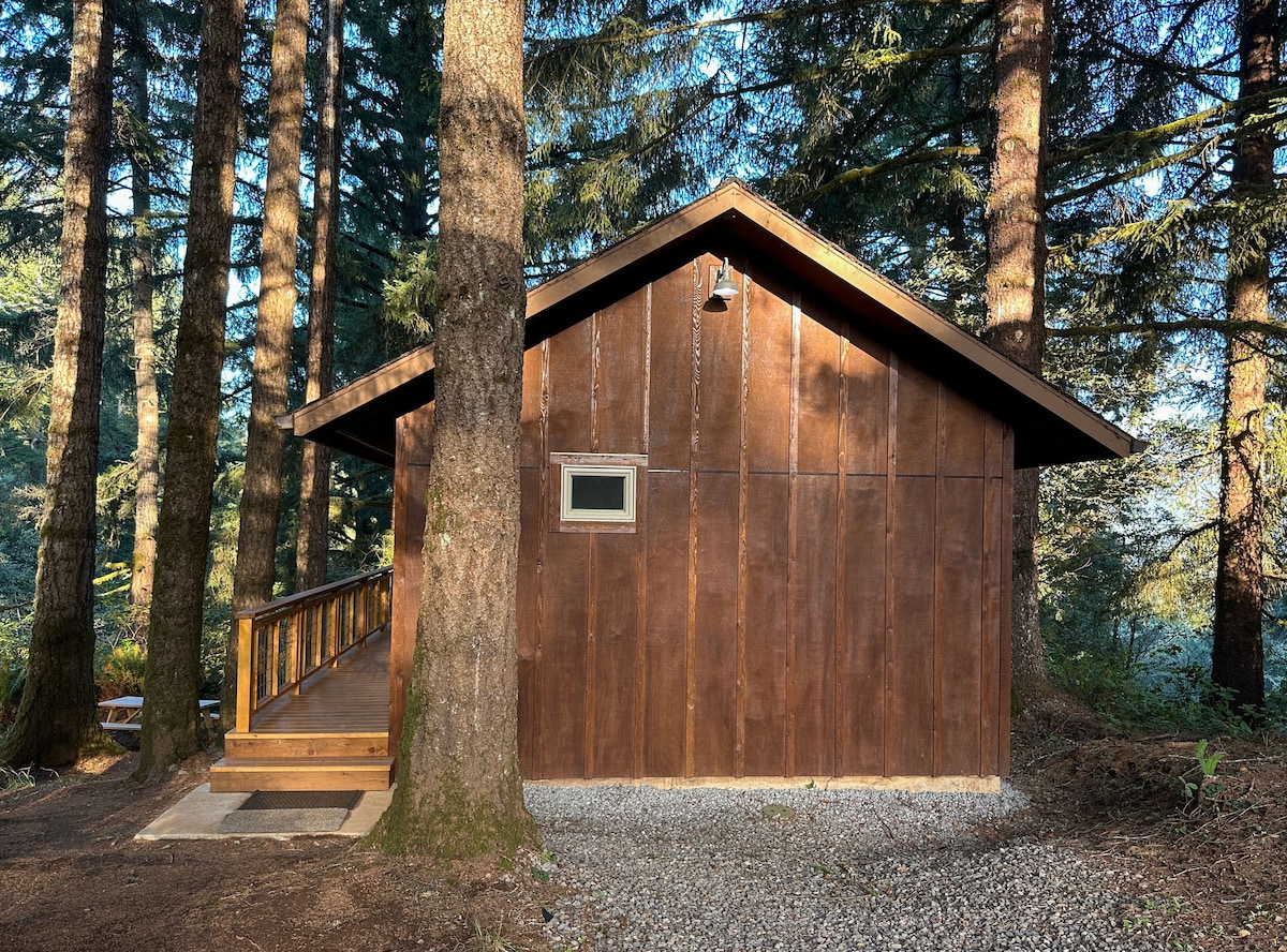 New Cabin! Private & Cozy, Overlooking the Woods