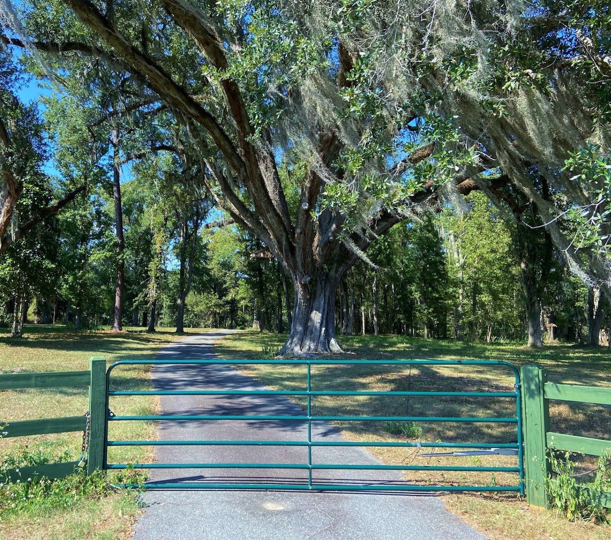 Tree Tops Estate on Lake Seminole