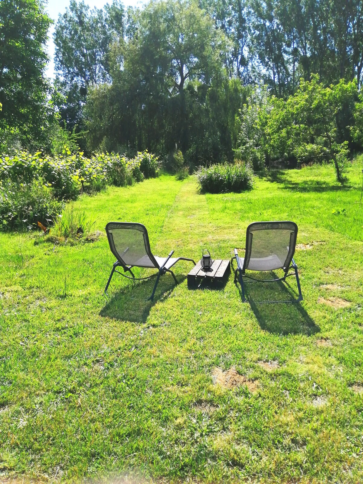 Cabane romantique avec jacuzzi dans le Perche