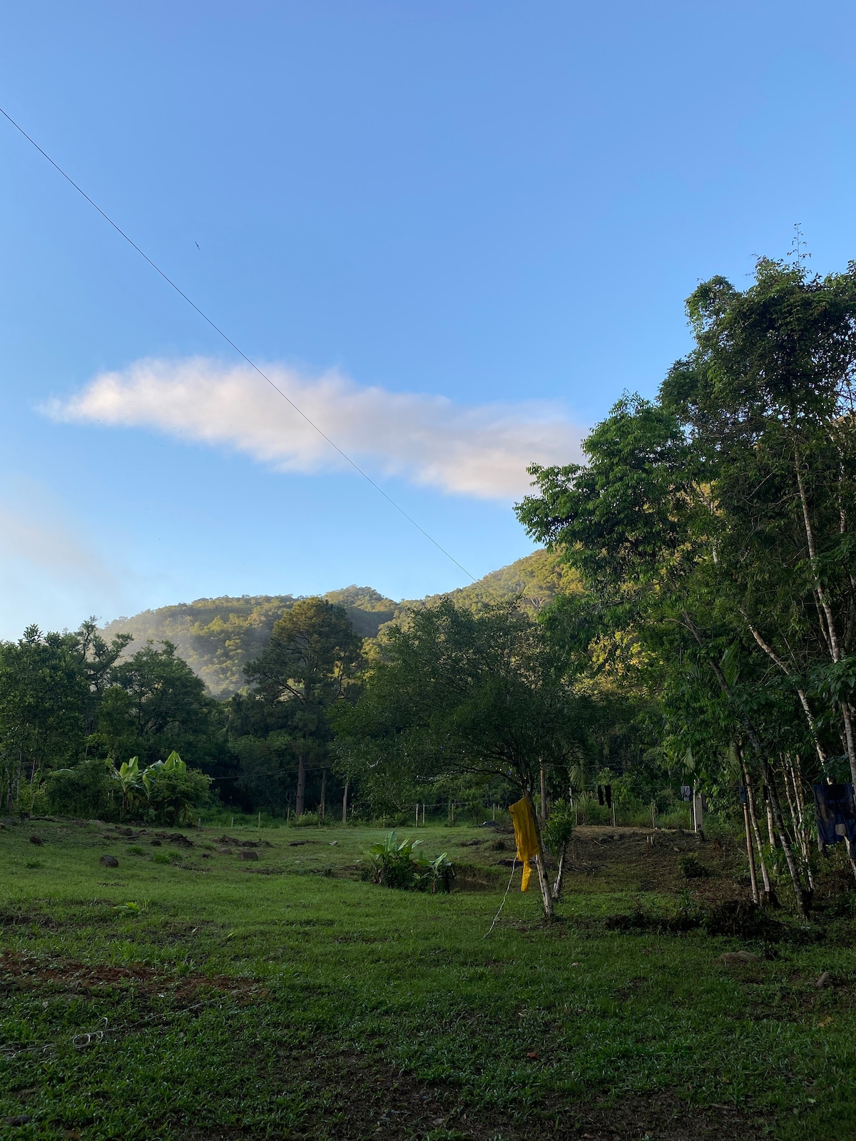 Quarto da floresta