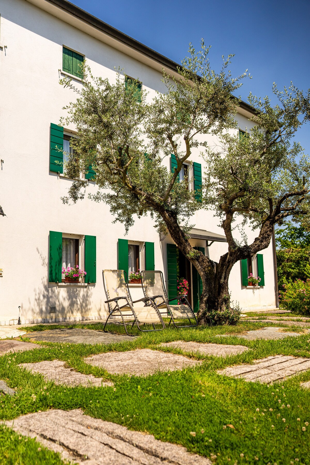 VINEYARD VINEE APARTMENT VINE IN VENIC