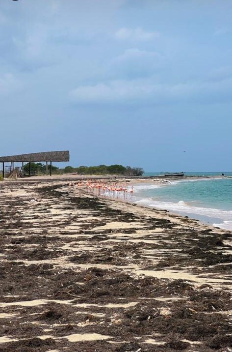 Hermosa cabaña Zosky Beach