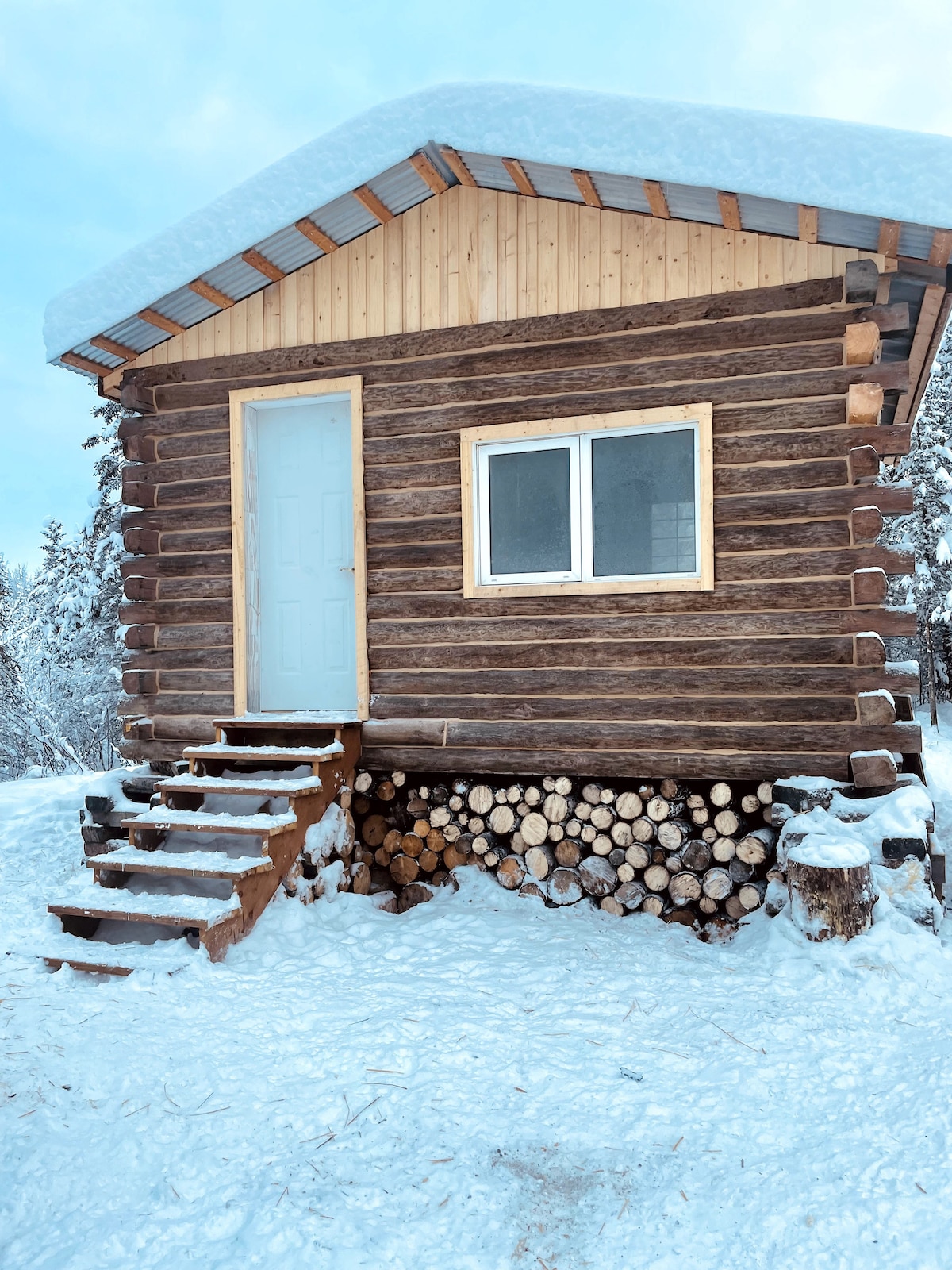 Klondike Kennel's Cabin