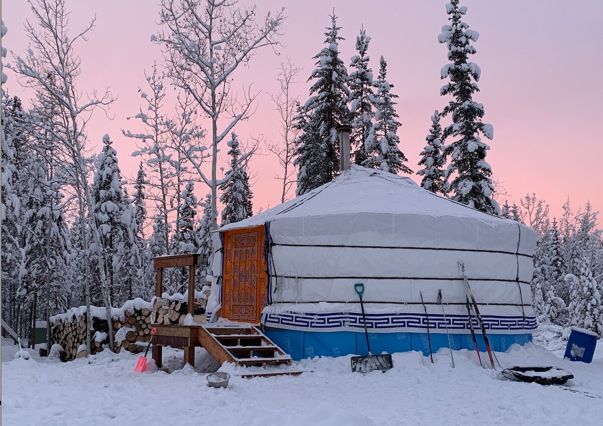 Klondike Kennel's Cabin