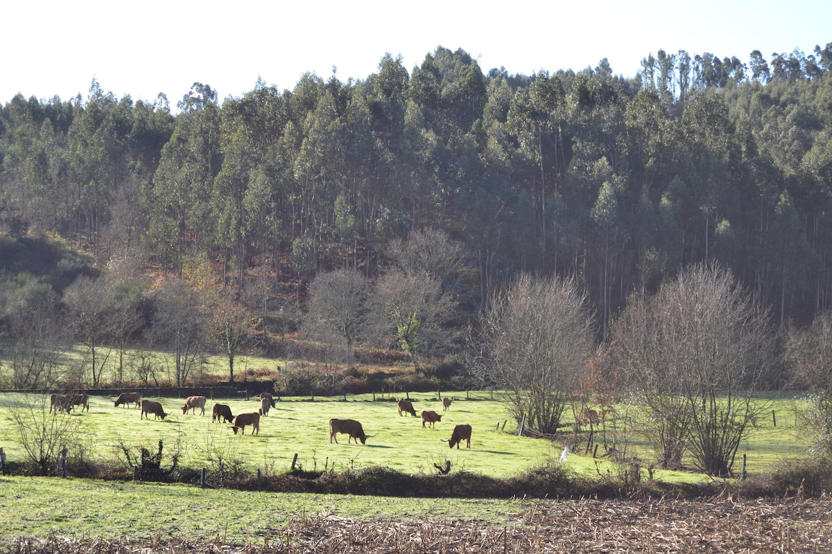 Casa Mocho Rural Shelter