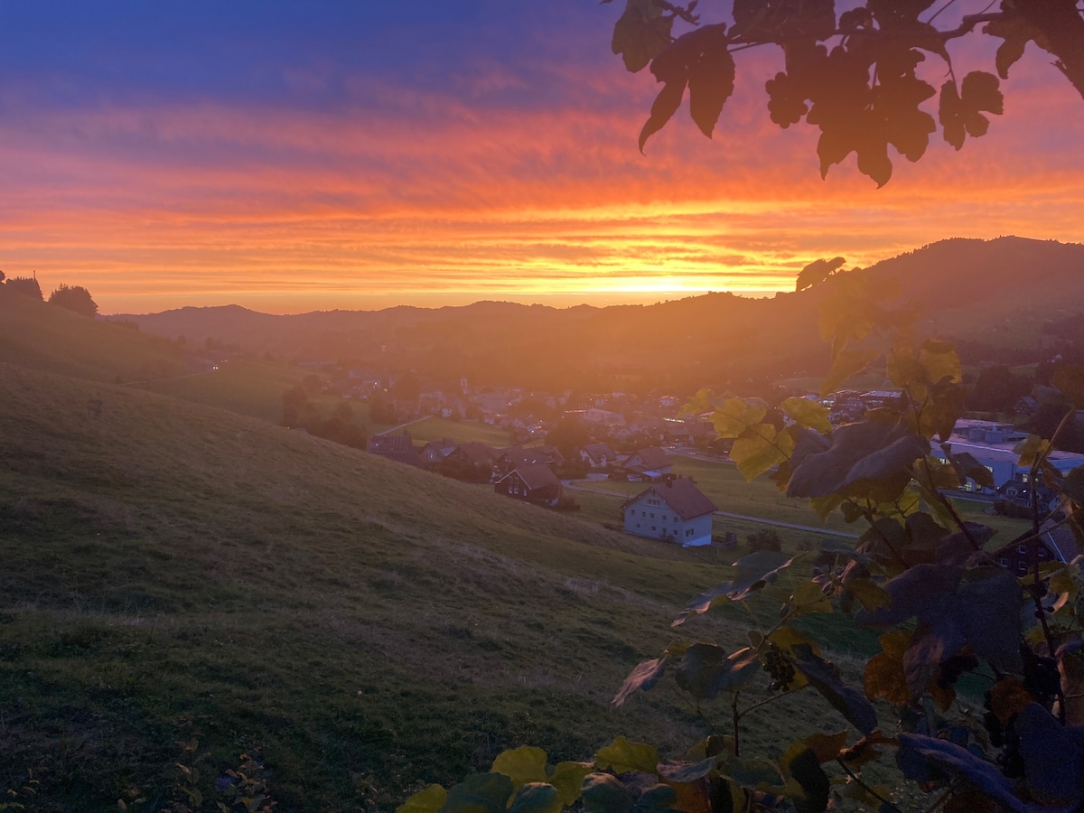 Säntis Gold