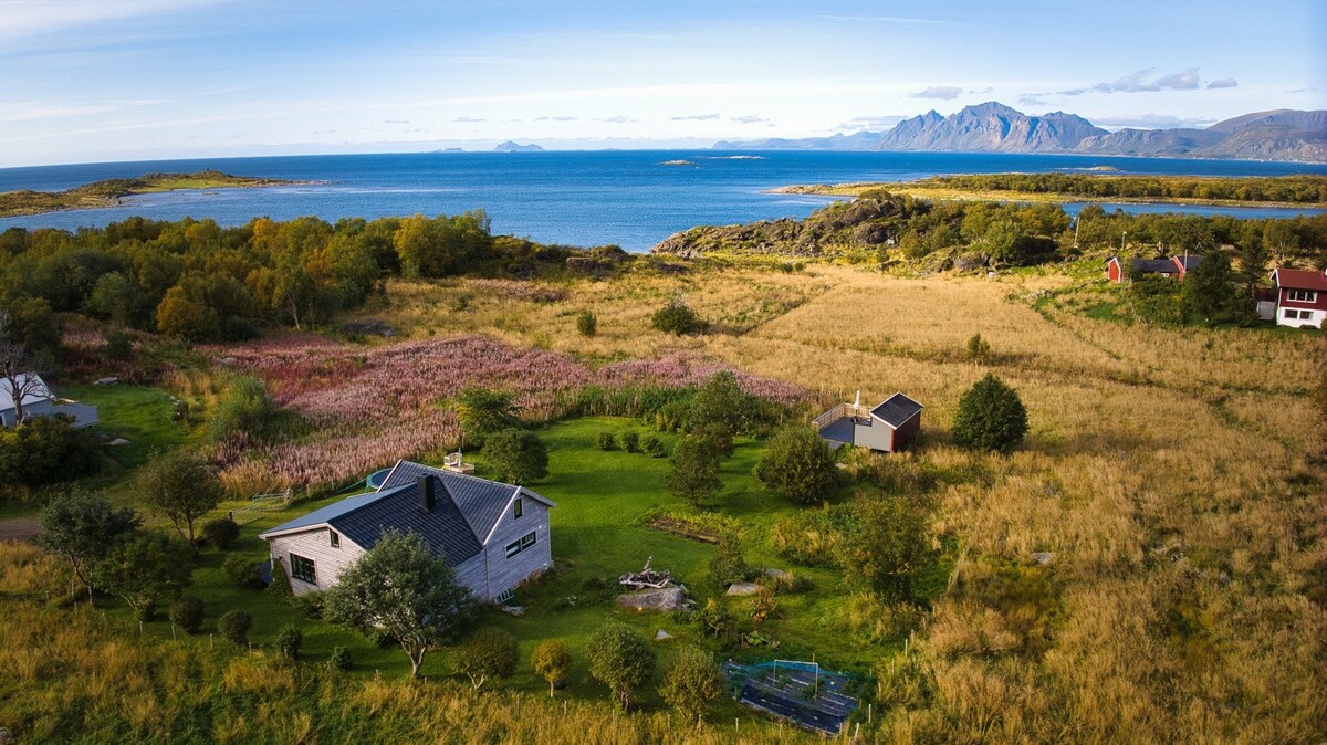 Lofoten/Vesterålen的舒适房源