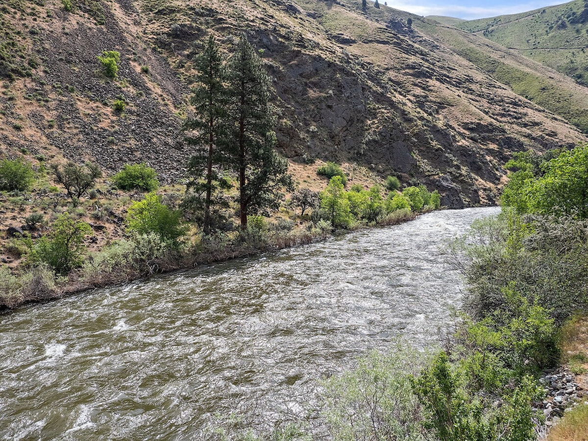 Little Salmon River House