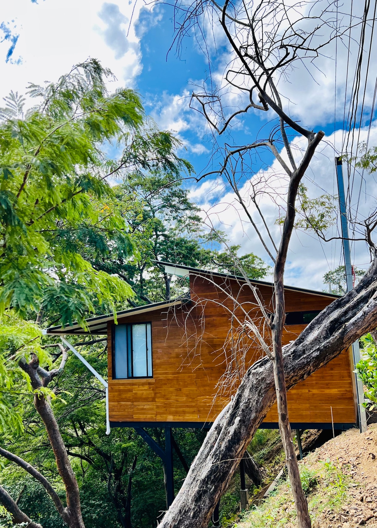 Casita Teka, overhanging the jungle