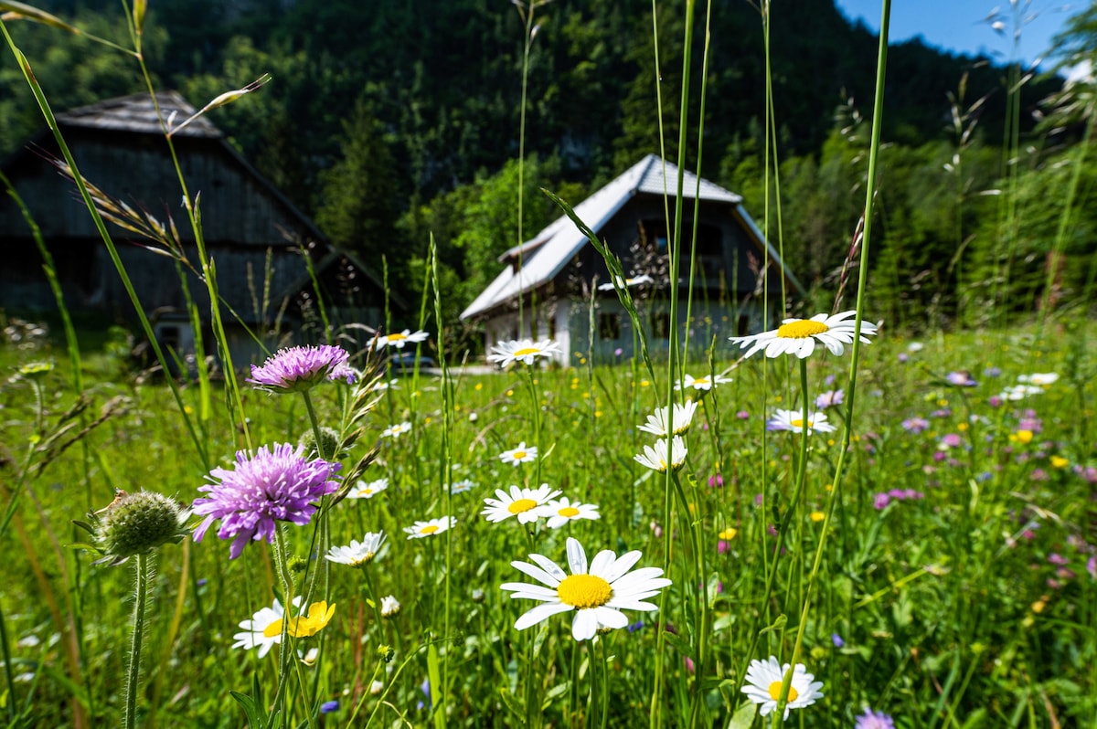 Traditional homestead Guhar in Radovna