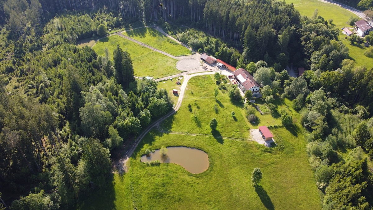 *NEU* Traumhafte Tenne auf Pferdehof