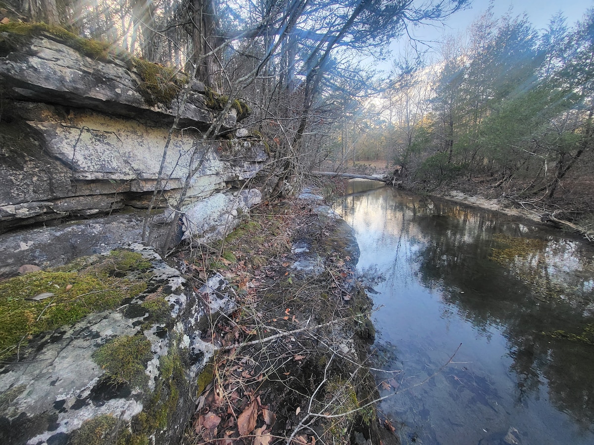 Hee Haw on the Creek, 11 Acres on Livingston Creek