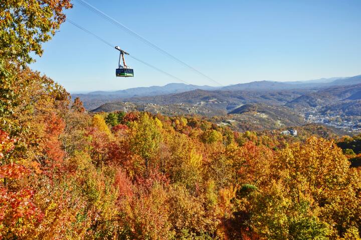 盖林柏格（Gatlinburg）的民宿