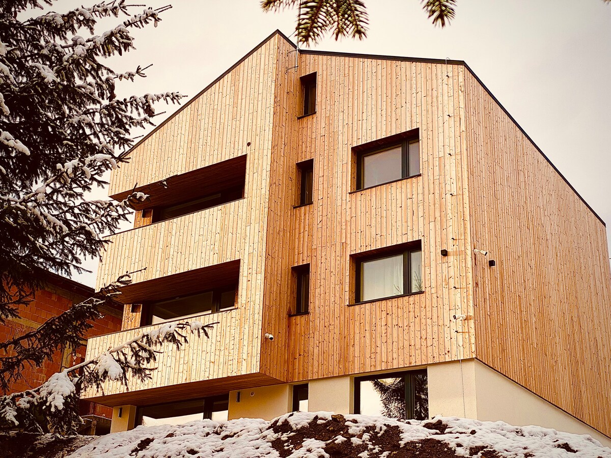 Nordic Apartamente Păltiniș - Standard