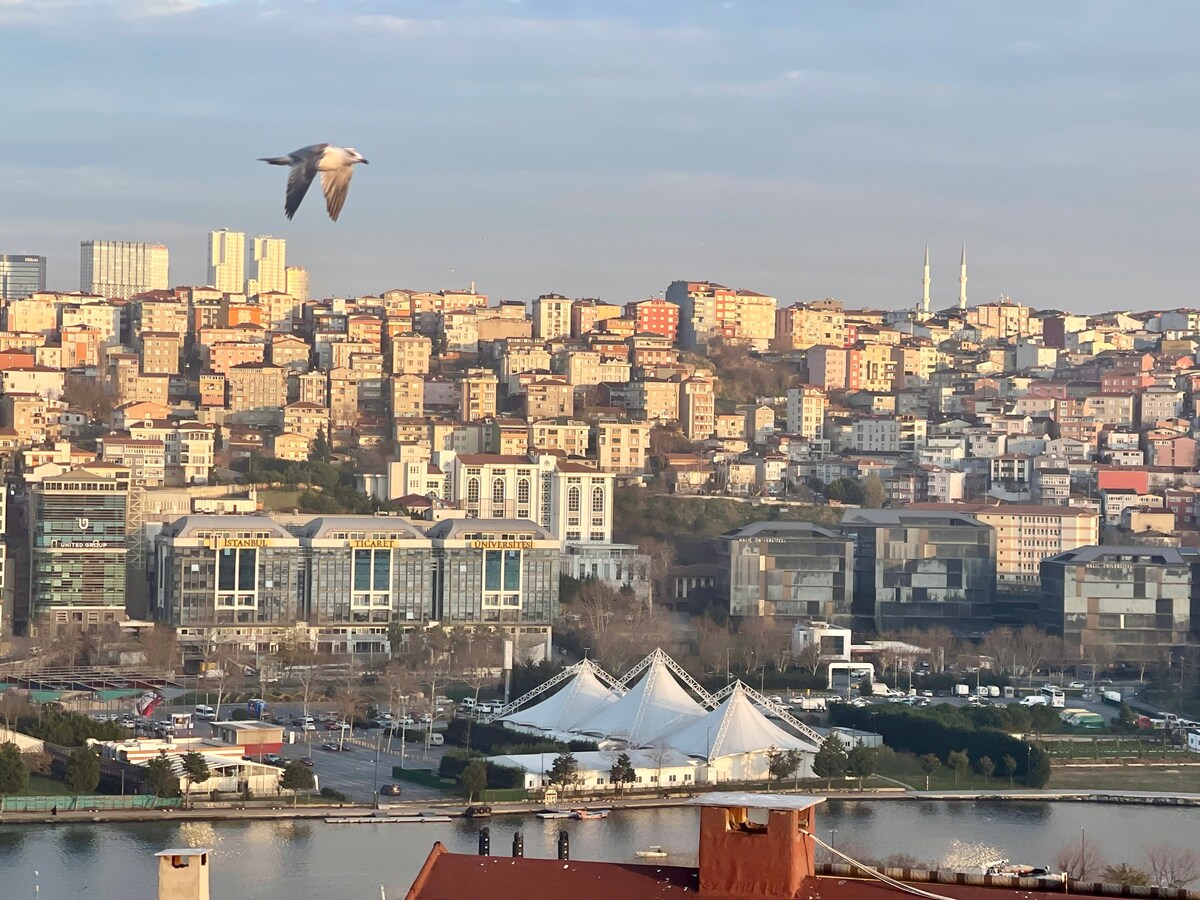 迷人的伊斯坦布尔复式公寓。