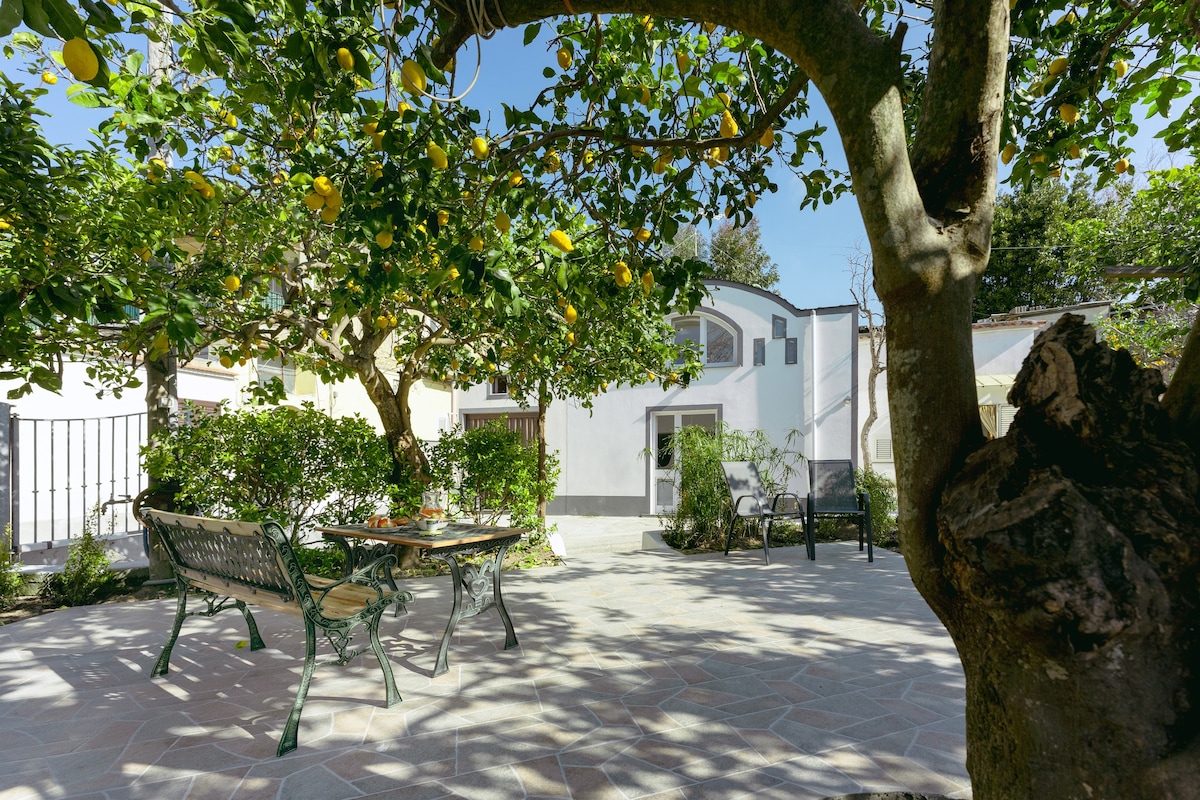 Le Giuggiole - Casa in a lemon grove