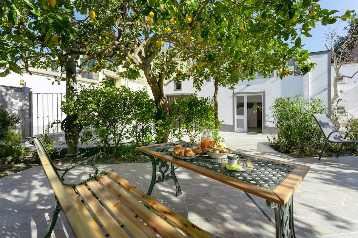 Le Giuggiole - Casa in a lemon grove