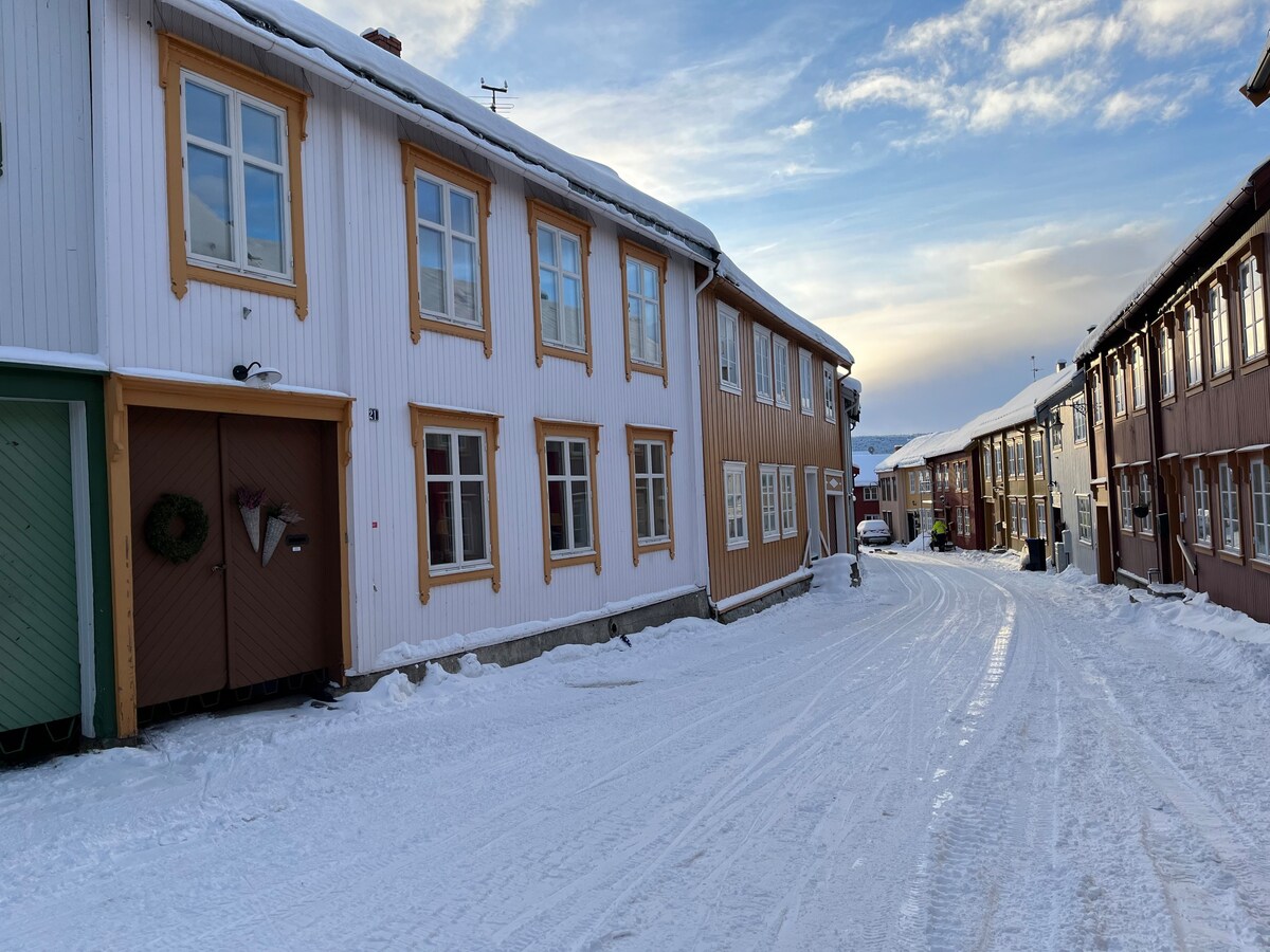 位于罗罗斯（ Røros ）老城区的公寓