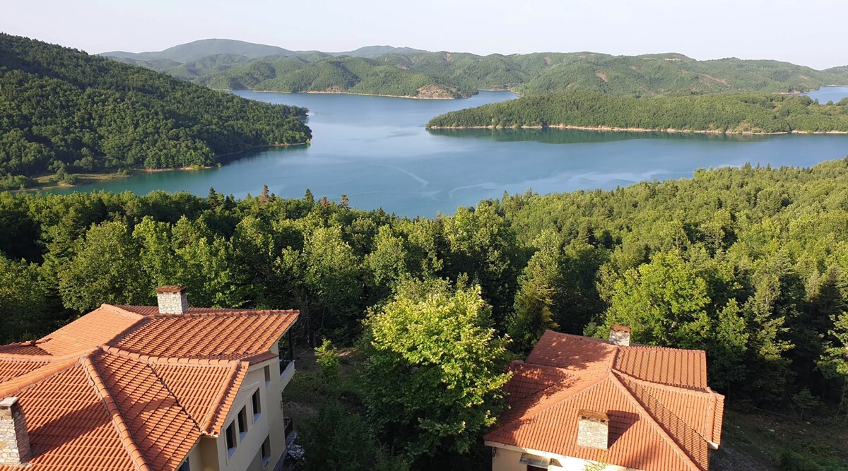 Alonaki - Studio with Plastira lake view