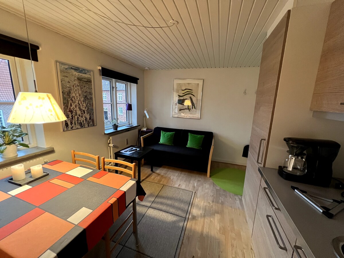 Viborg的舒适公寓
