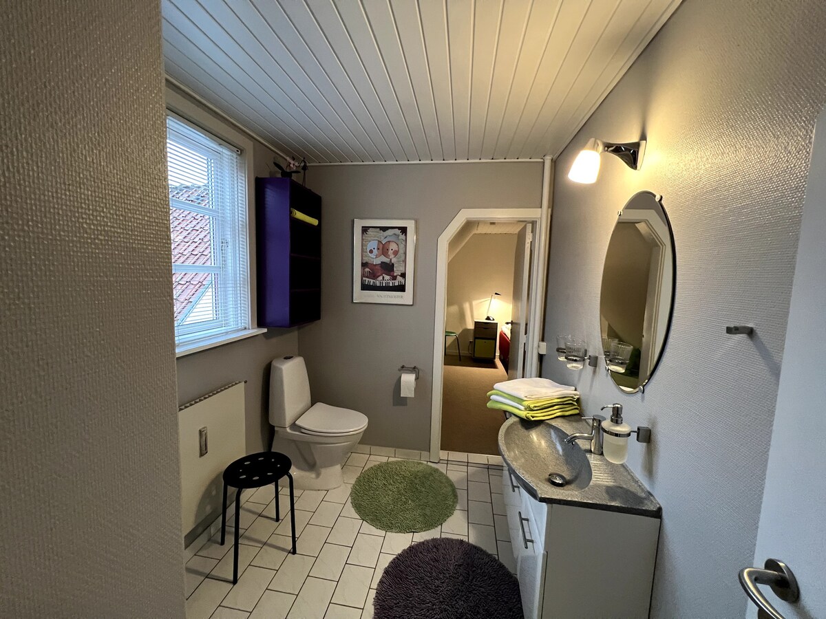 Viborg的舒适公寓