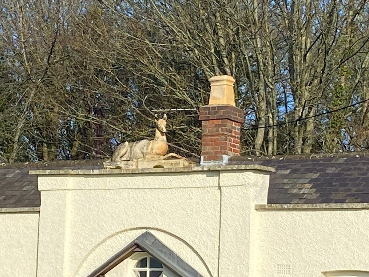 Cosy Southdowns cottage