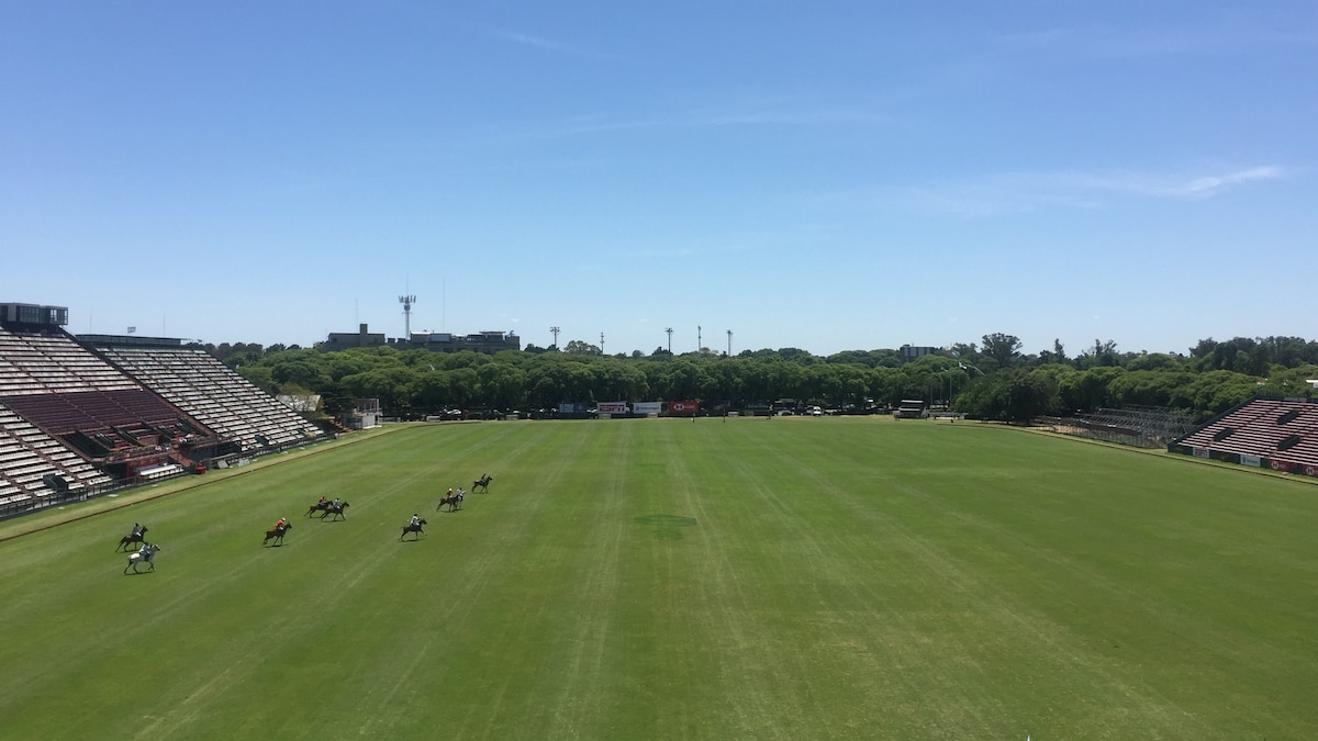 Best view in Buenos Aires. Polo field