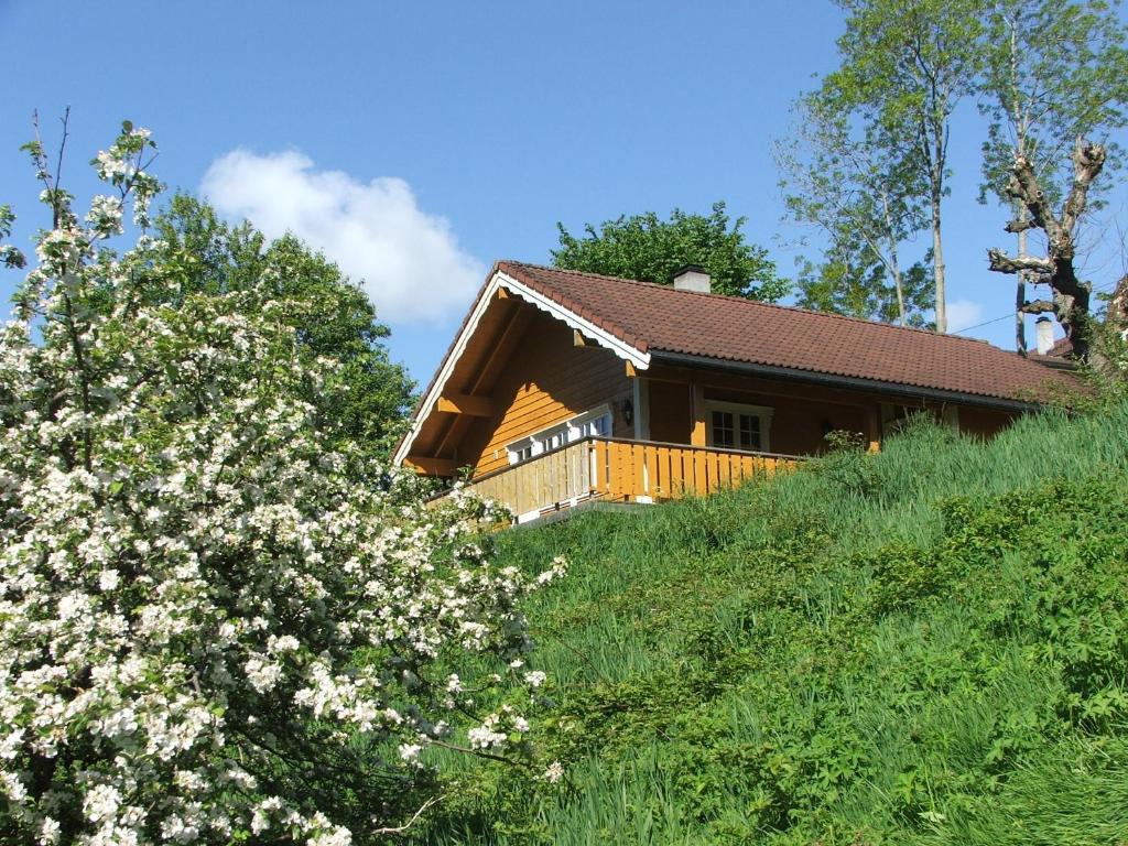 Solbakken Hut, Stryn