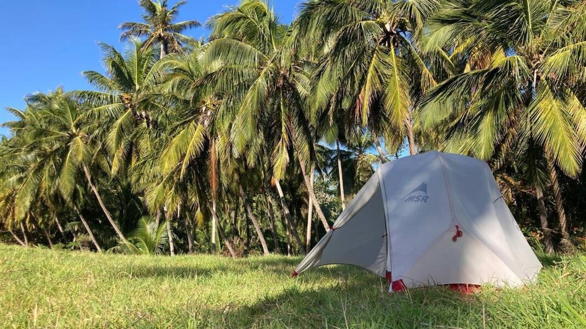 Bring Your Own Tent (3) - Camping Barbados