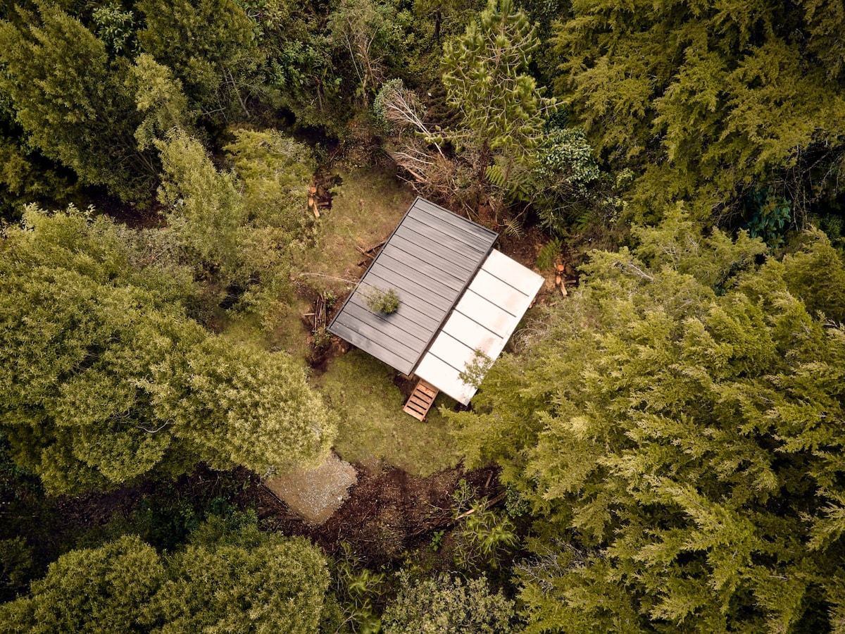 Santa Elena, mágica estadía dentro del bosque