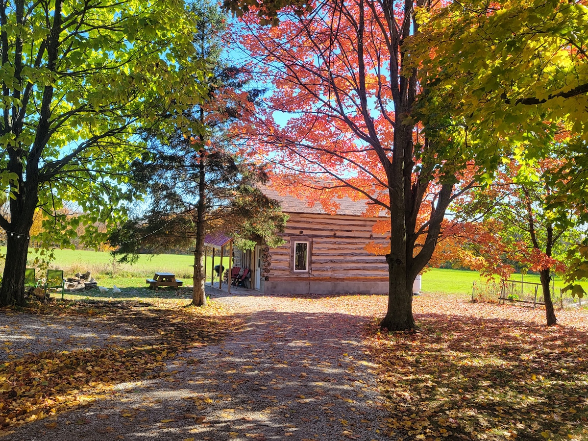 Country Cabin