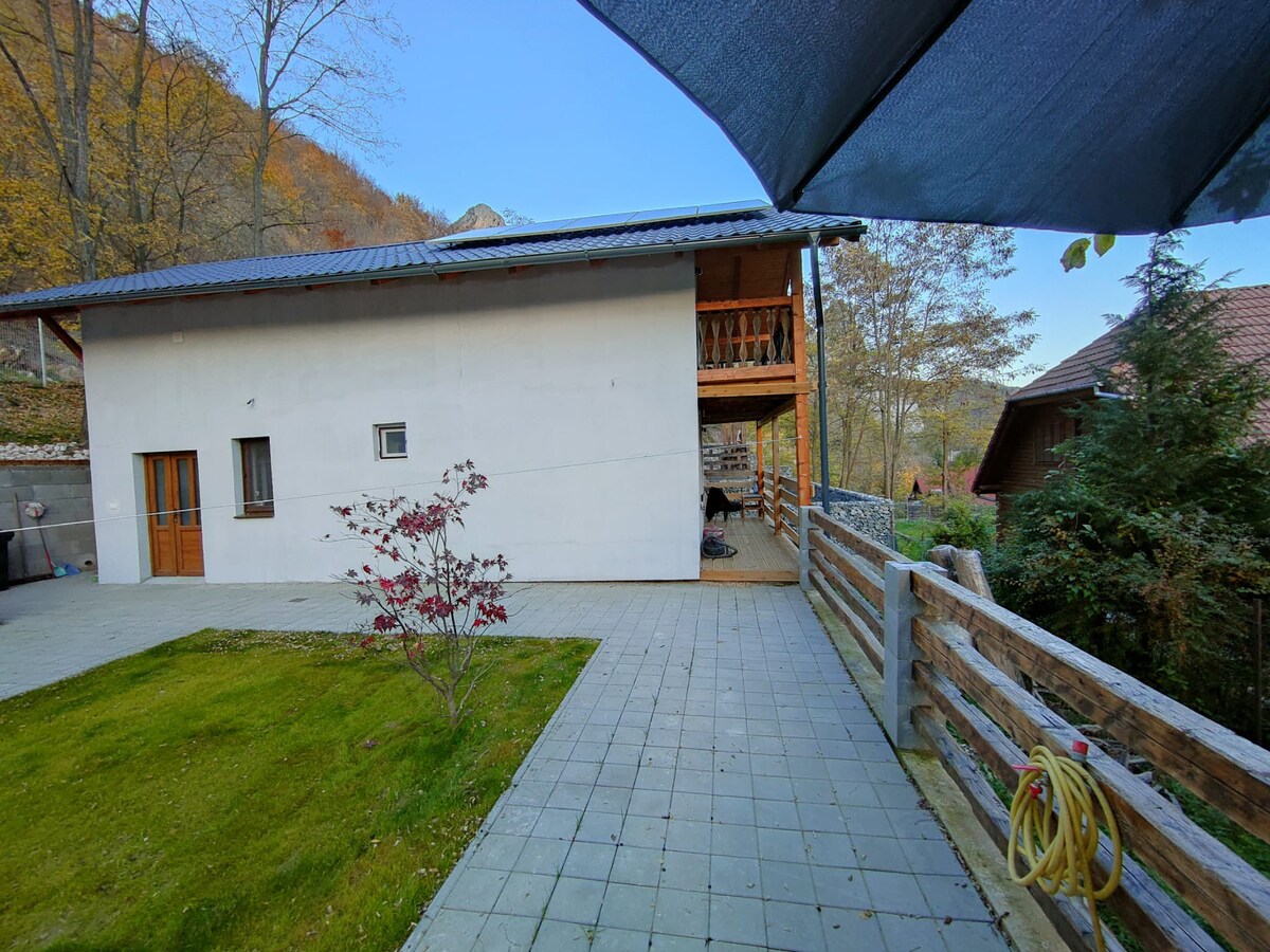 Transilvania mountain view villa