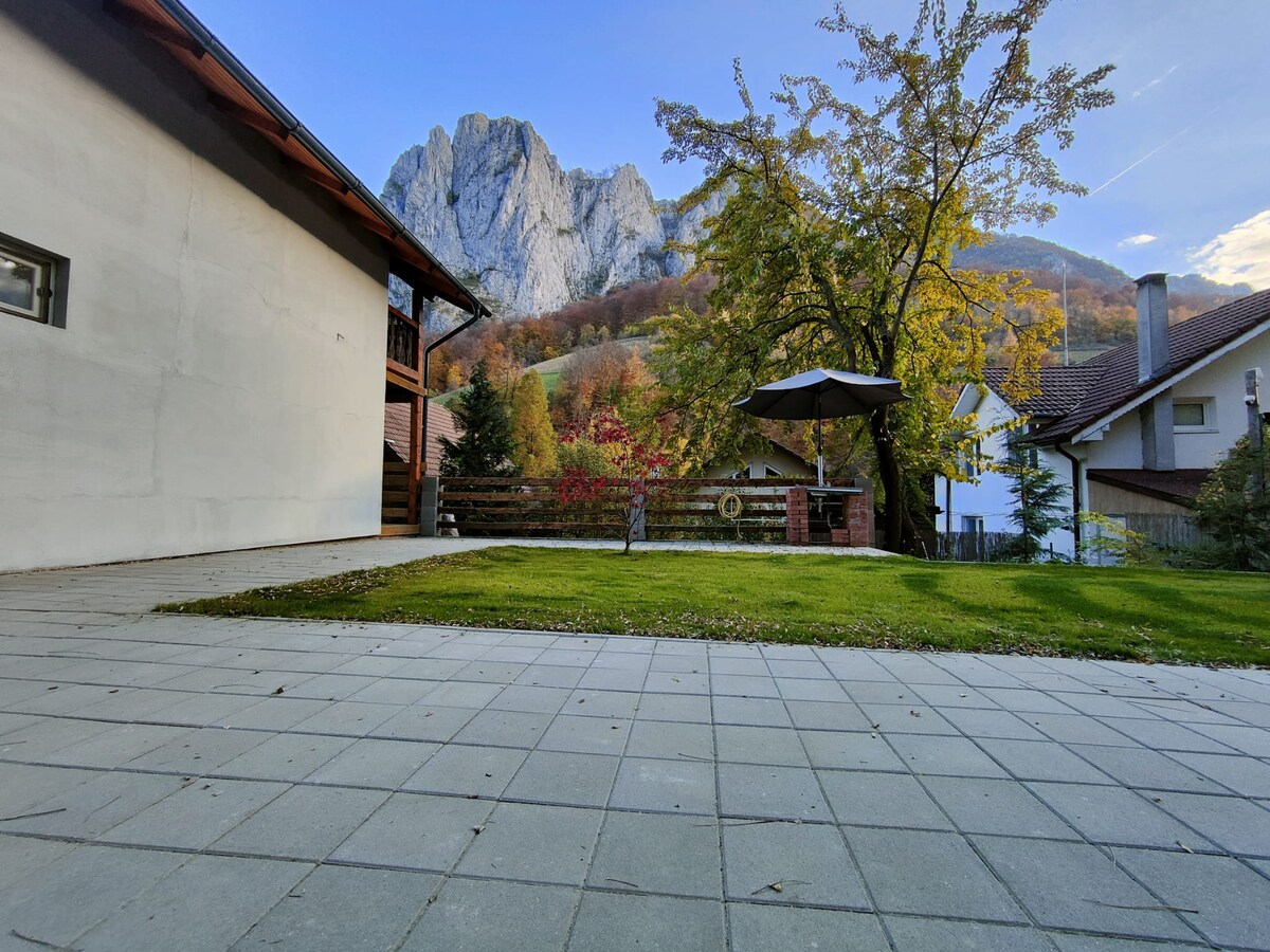 Transilvania mountain view villa