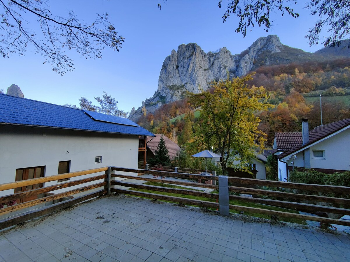 Transilvania mountain view villa
