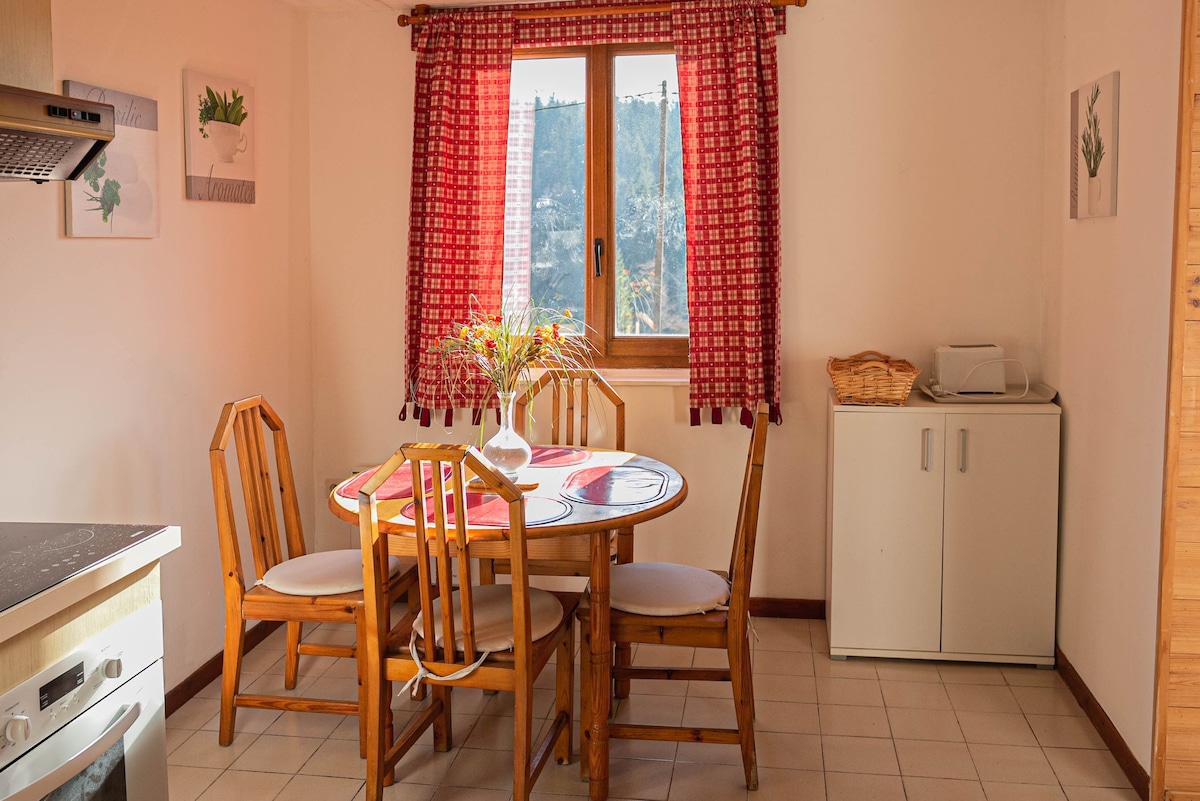 Appartement cosy en pleine nature vosgienne