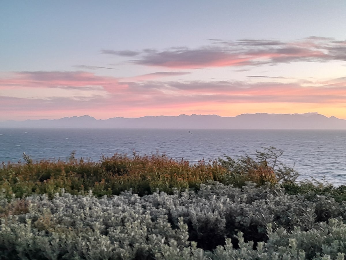 企鹅公寓。泳池。绝佳海景