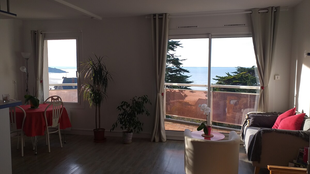 Grand Studio 3 * vue imprenable sur mer