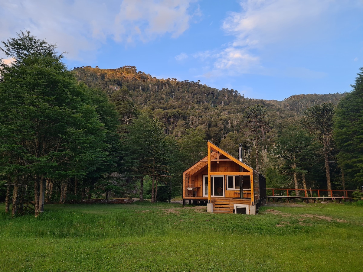 Cabaña Martin Pescador ， Sollipulli Lodge