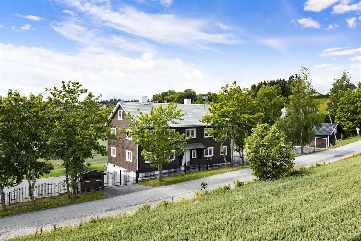 Flott og stor leilighet i nærheten av Hønefoss