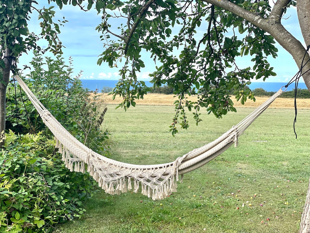 Skøn landejendom ud til Stevns Klint