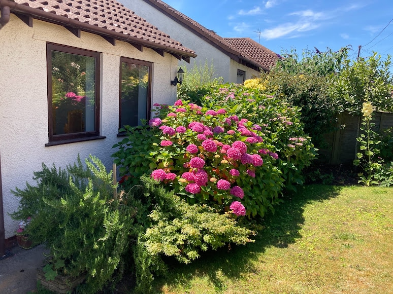 Spacious Detached Home in Central Watchet