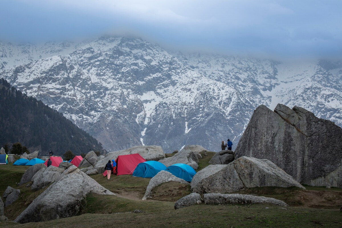 Triund Tent stay & guide & meal & stay