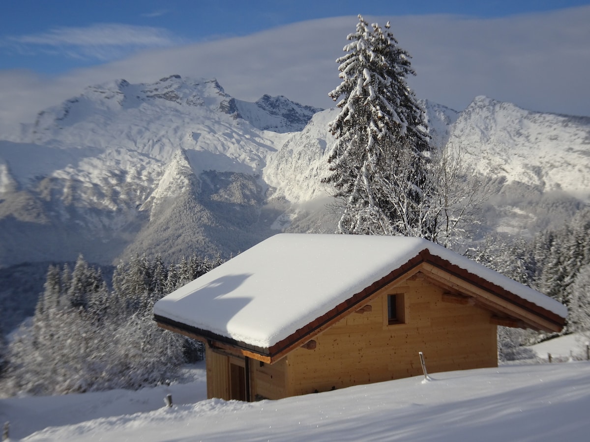 Chalet avec vue époustouflante