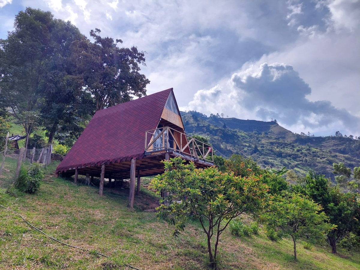 Glamping cabaña El Porvenir Rnt 106014