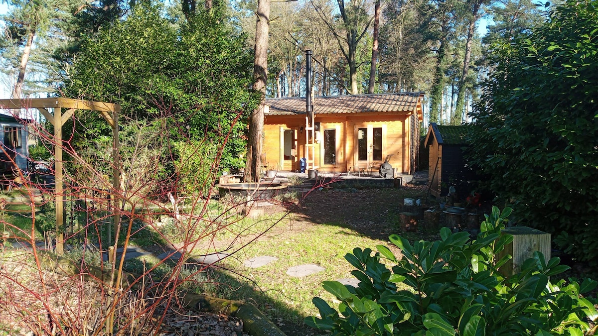 Houten huisje, 45m2, gelegen in het bos.