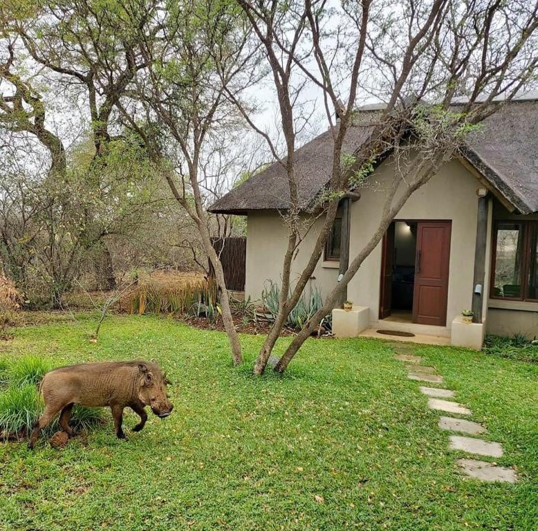 A luxurious lodge with a South African bush feel