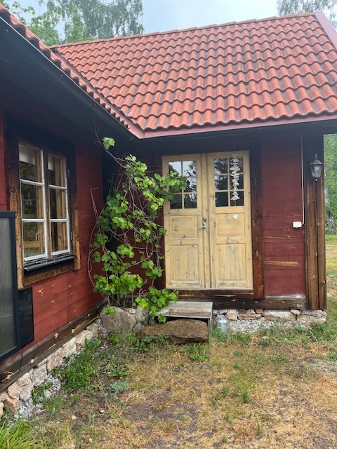 Hus mitt i naturen nära havet