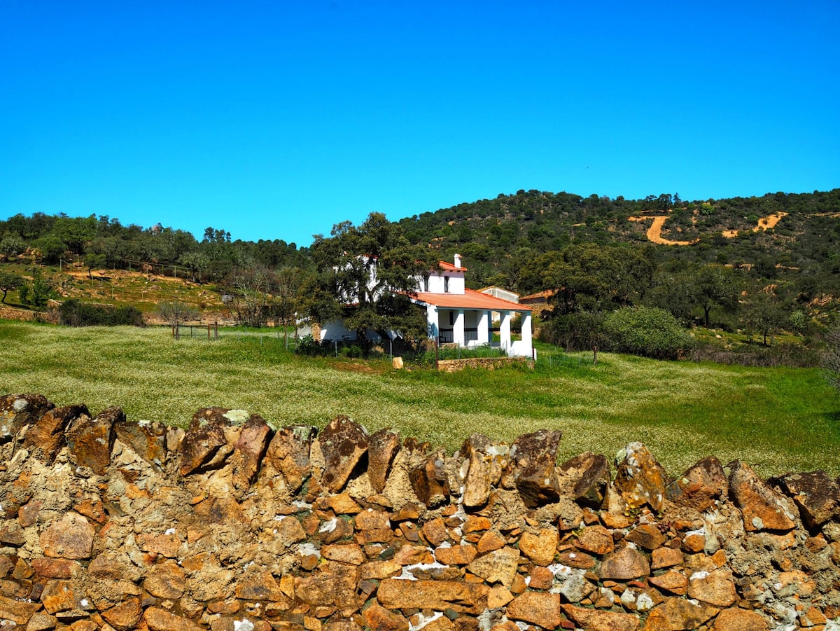 Casa de la Huerta. Planta Baja